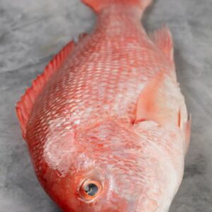 Pargo grande